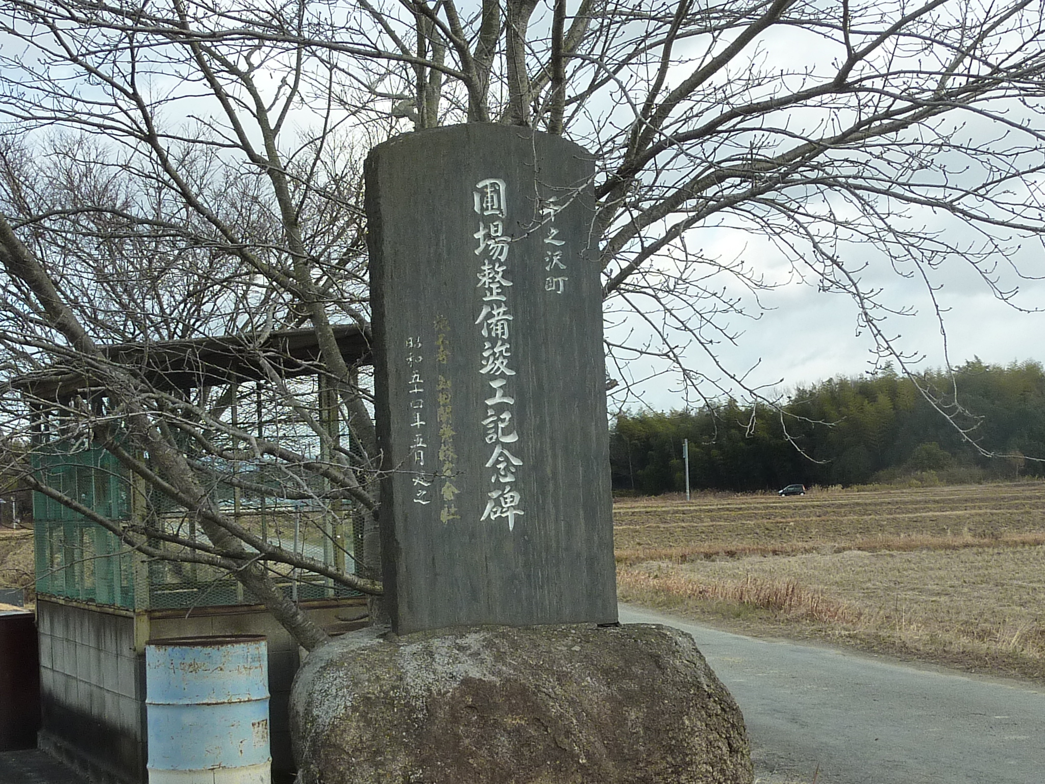 P1090766.JPG