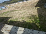 img0004.jpg