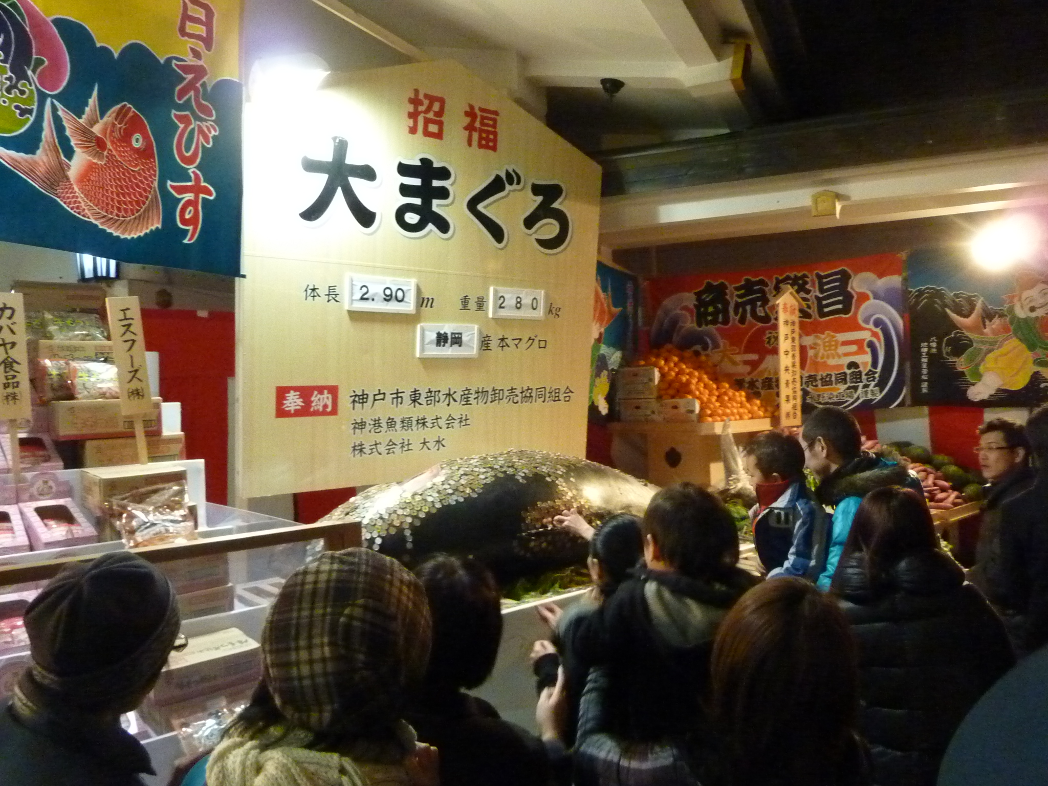 P1090793.JPG