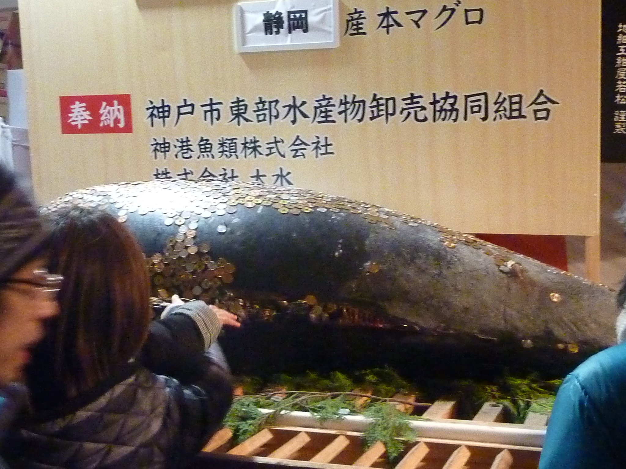 P1090794.JPG
