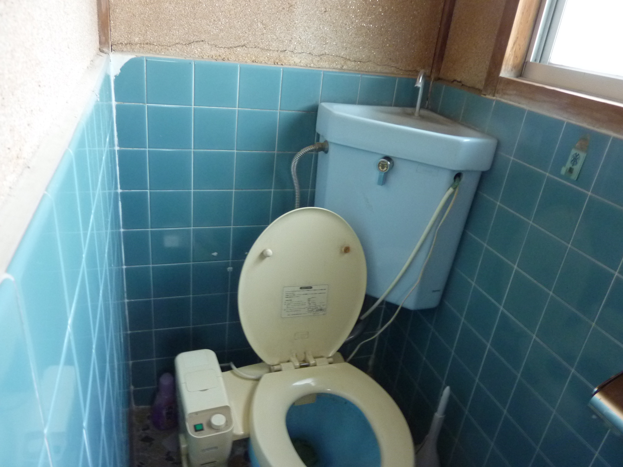 P1090847.JPG