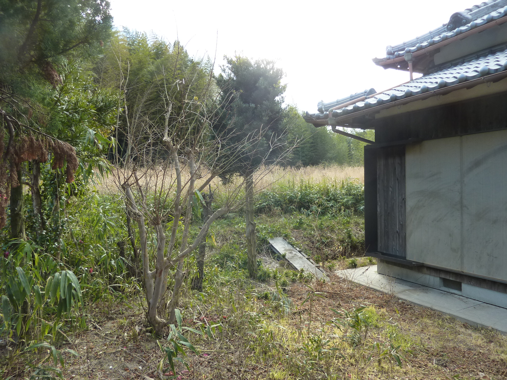 P1090883.JPG