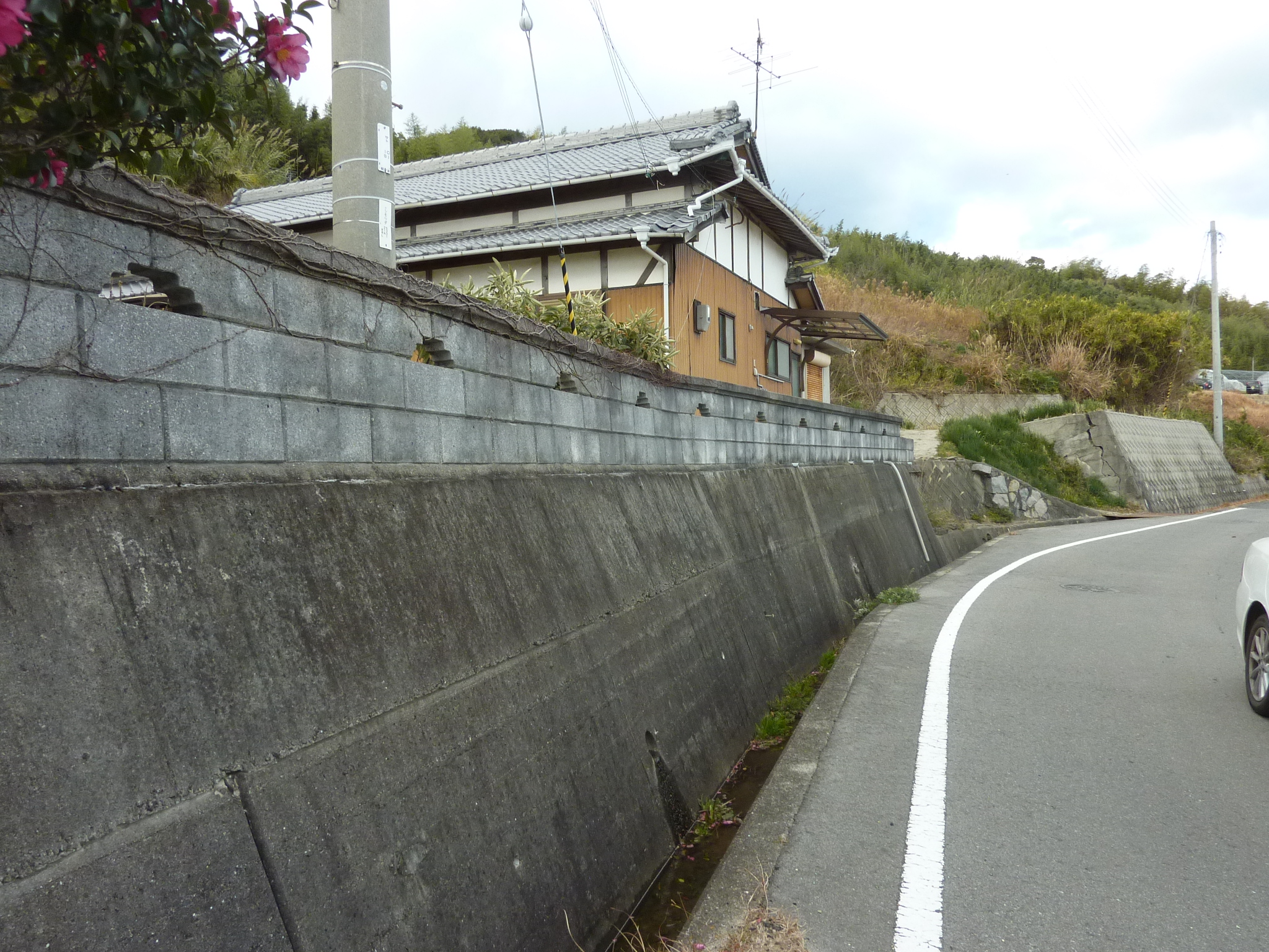 P1090890.JPG