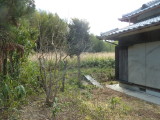 img0036.jpg