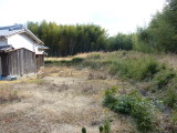 img0039.jpg