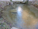 img0009.jpg
