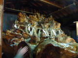 img0002.jpg