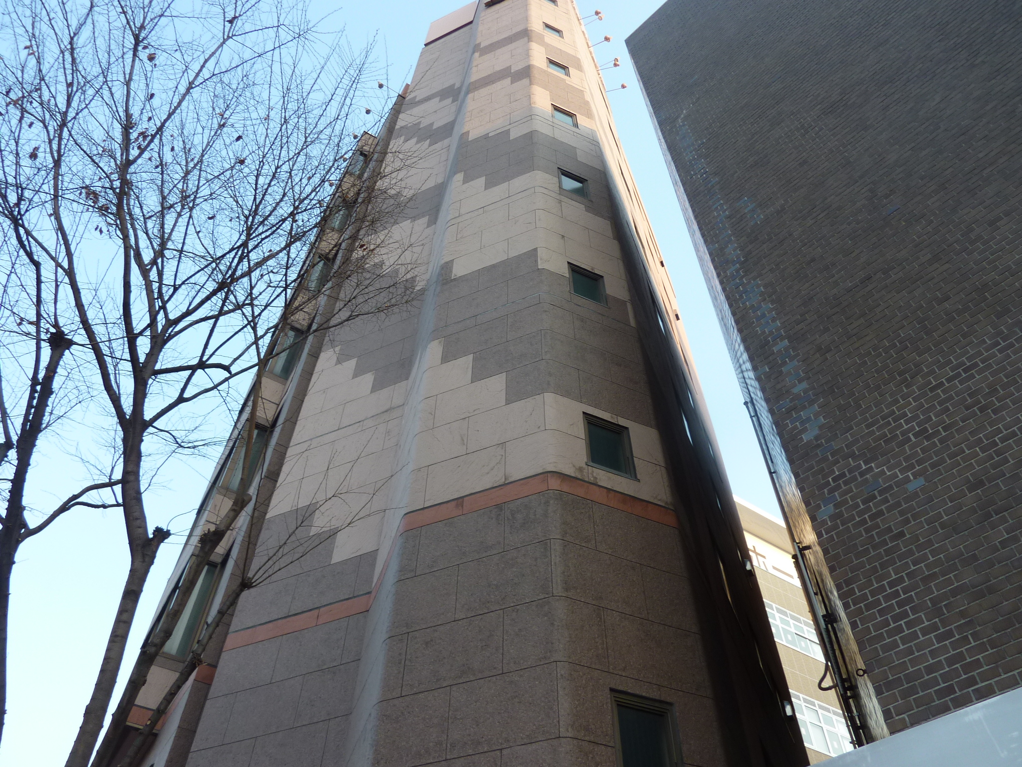 P1100164.JPG