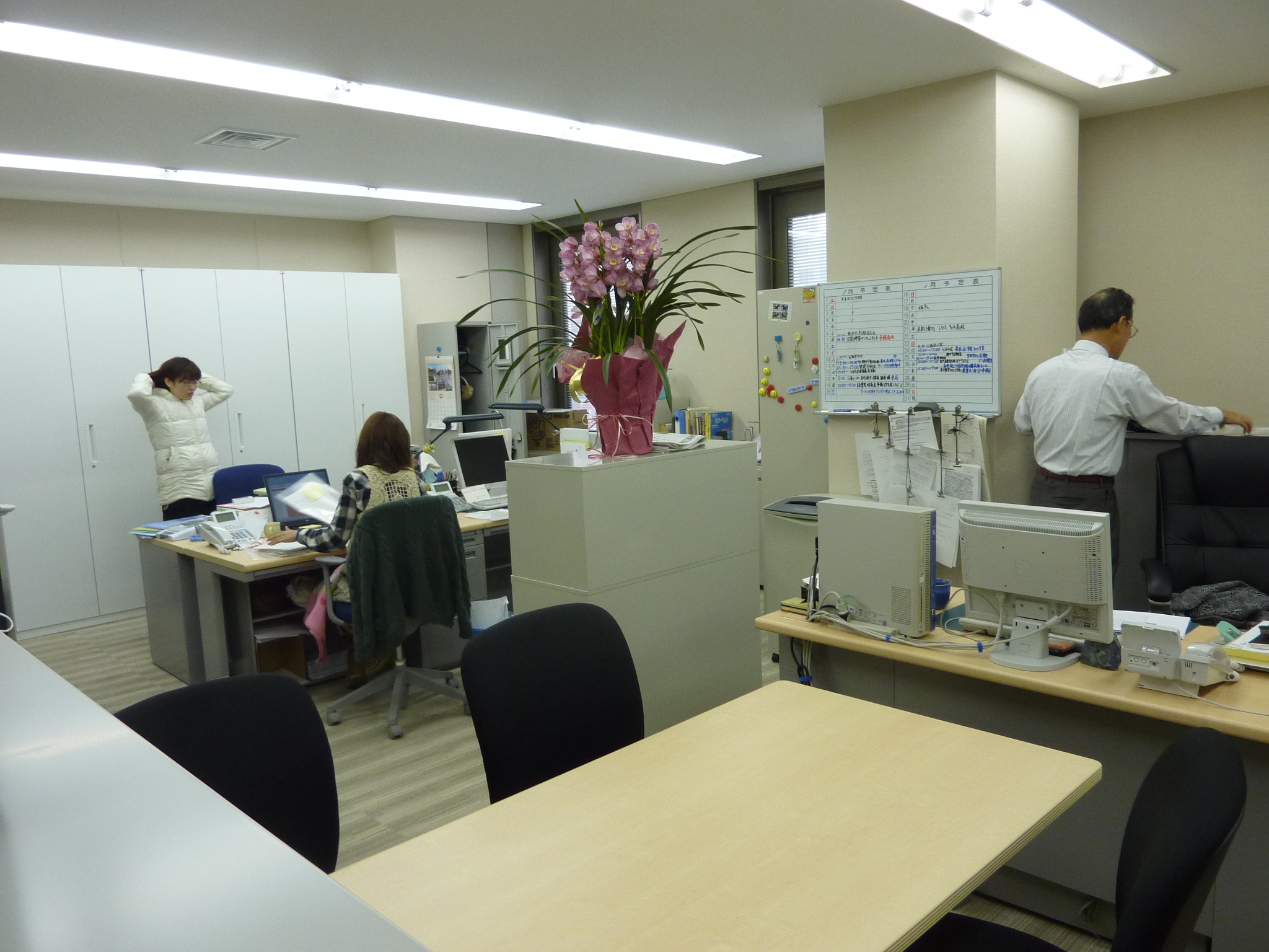 P1100179.JPG