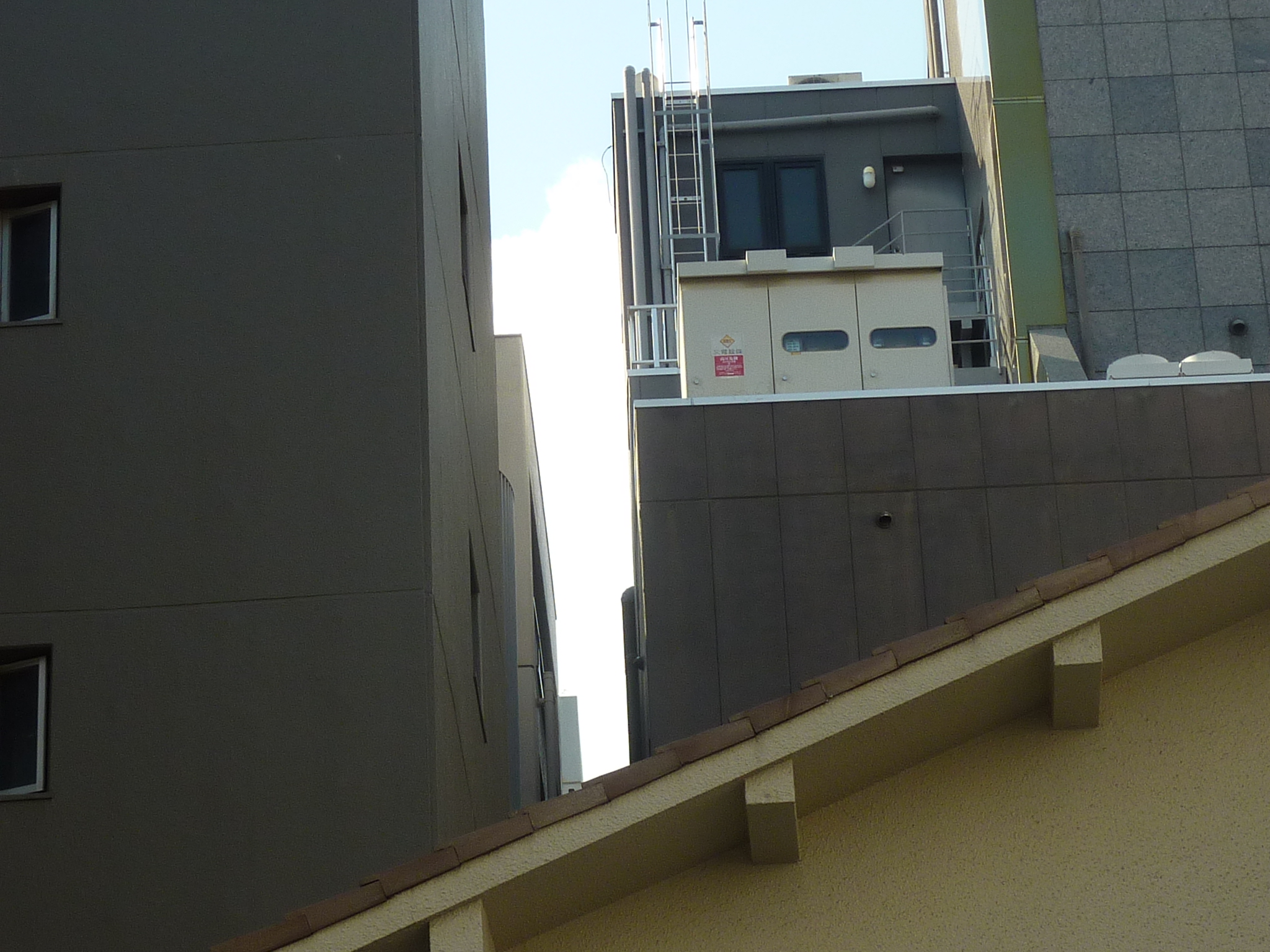 P1100228.JPG