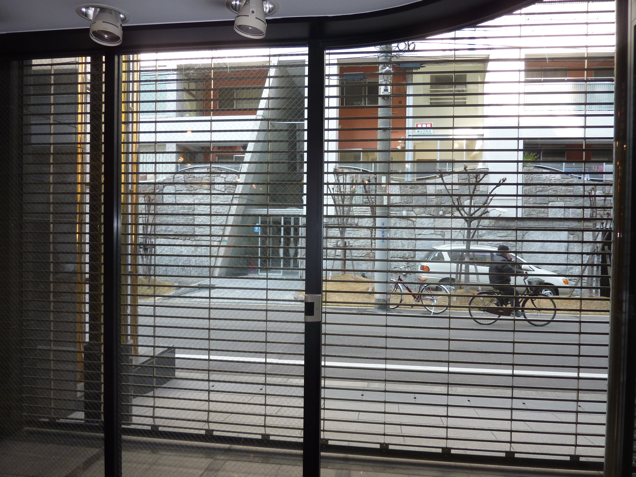 P1100230.JPG