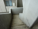 img0009.jpg