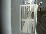 img0038.jpg