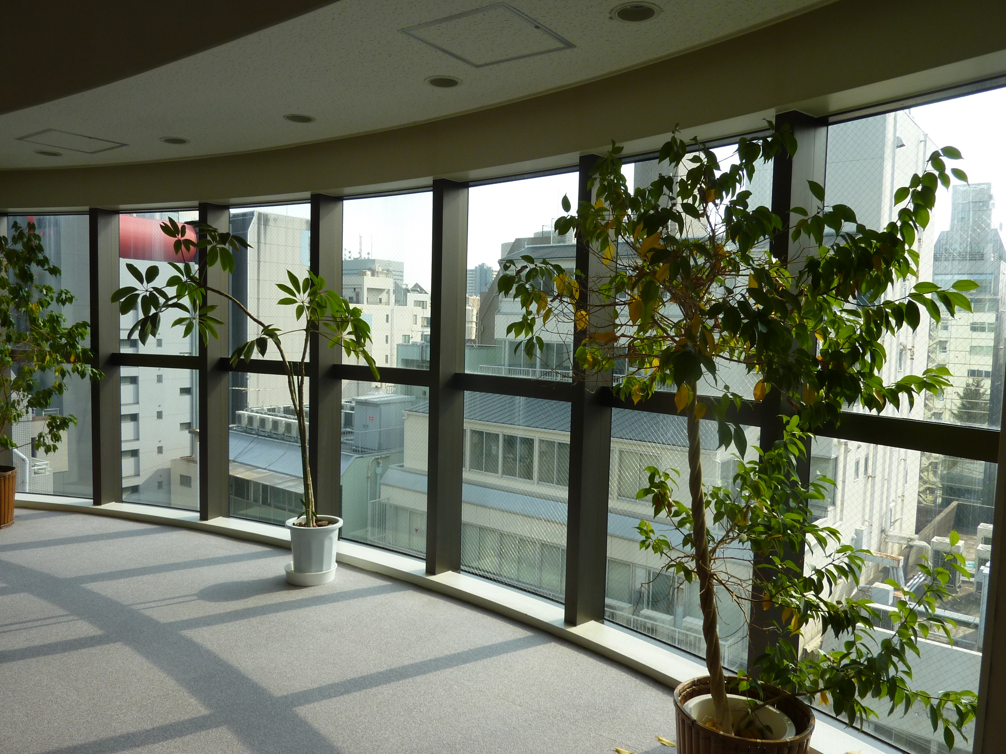 P1100265.JPG