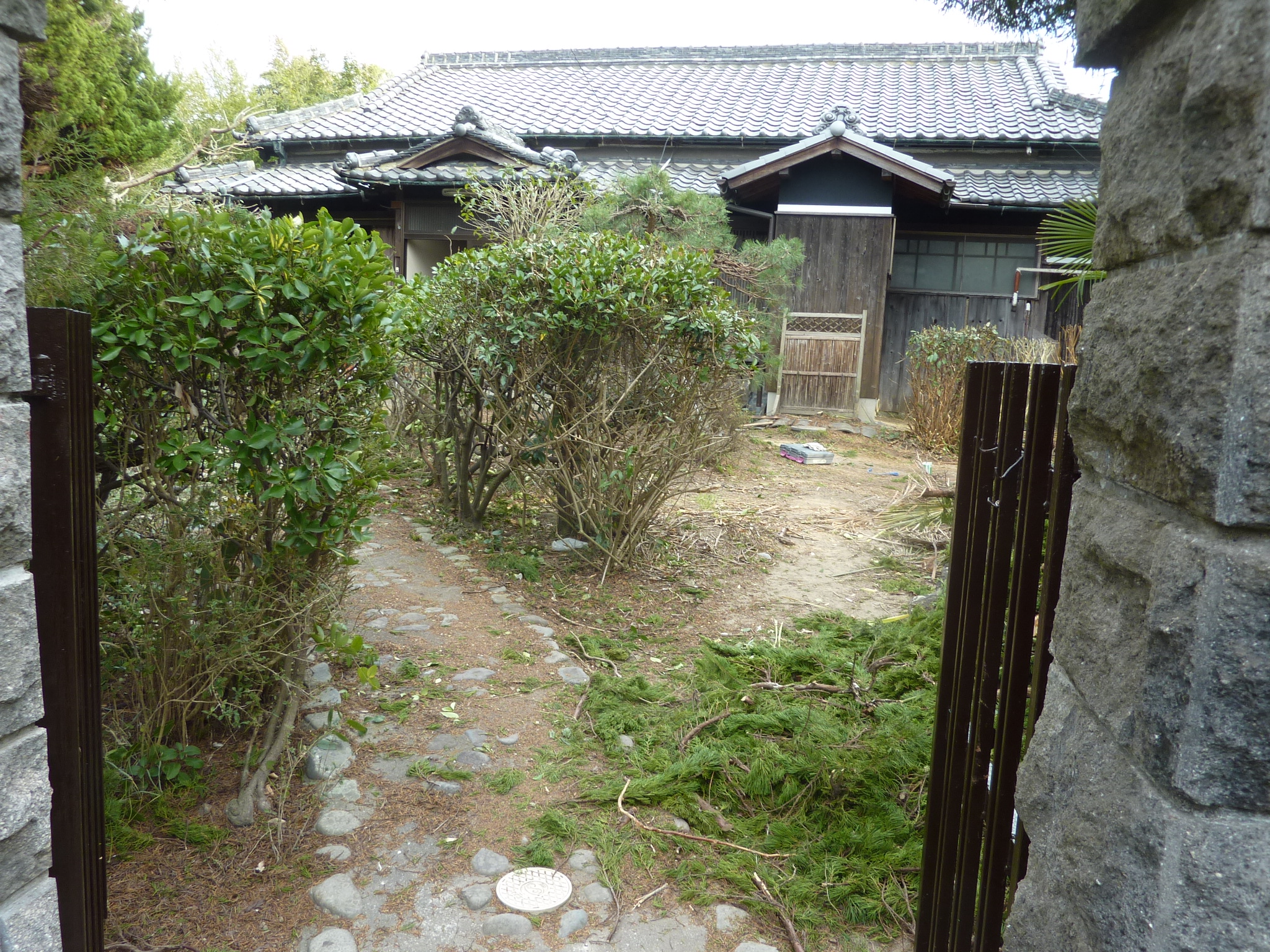 P1100269.JPG