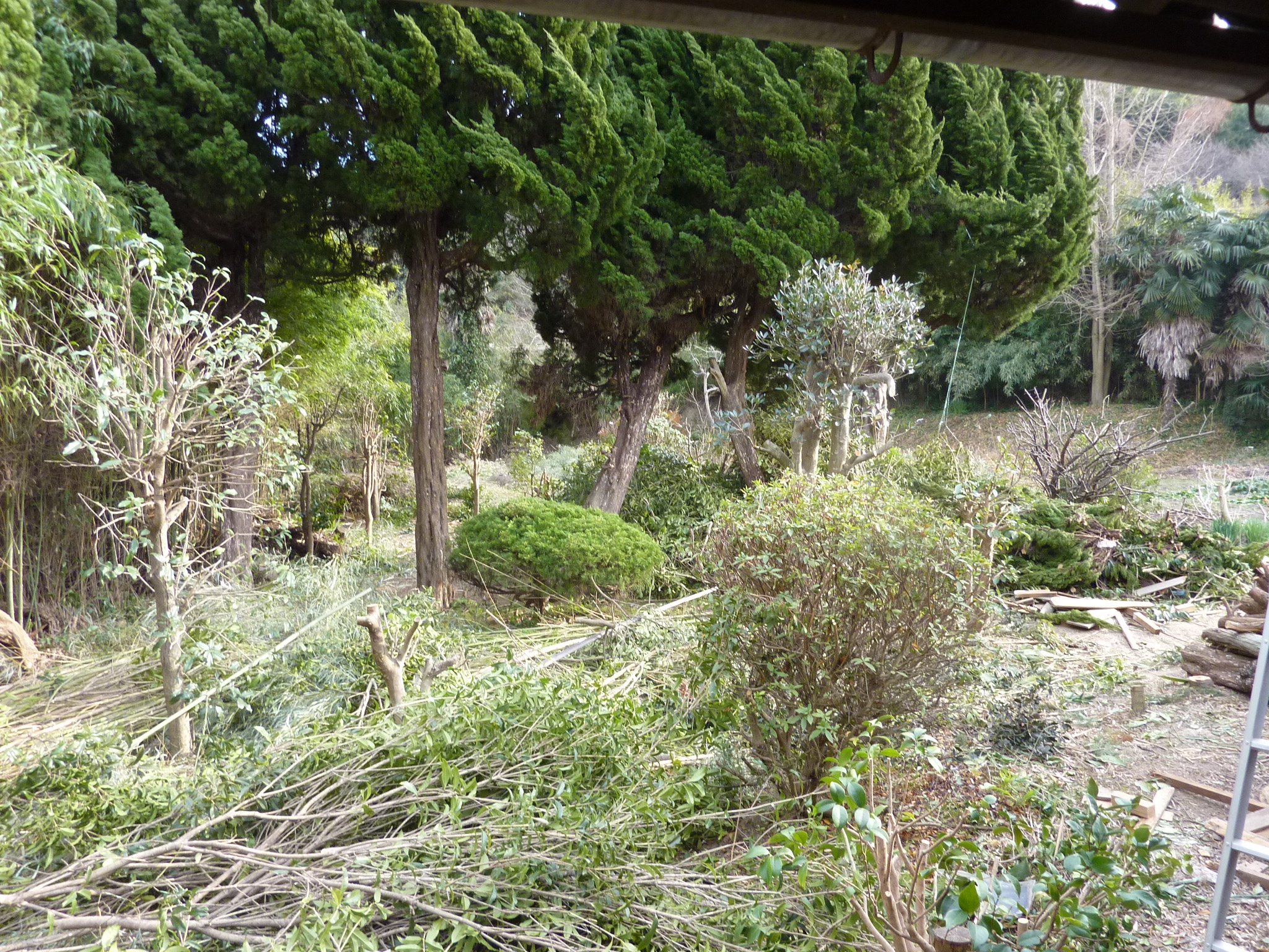 P1100272.JPG