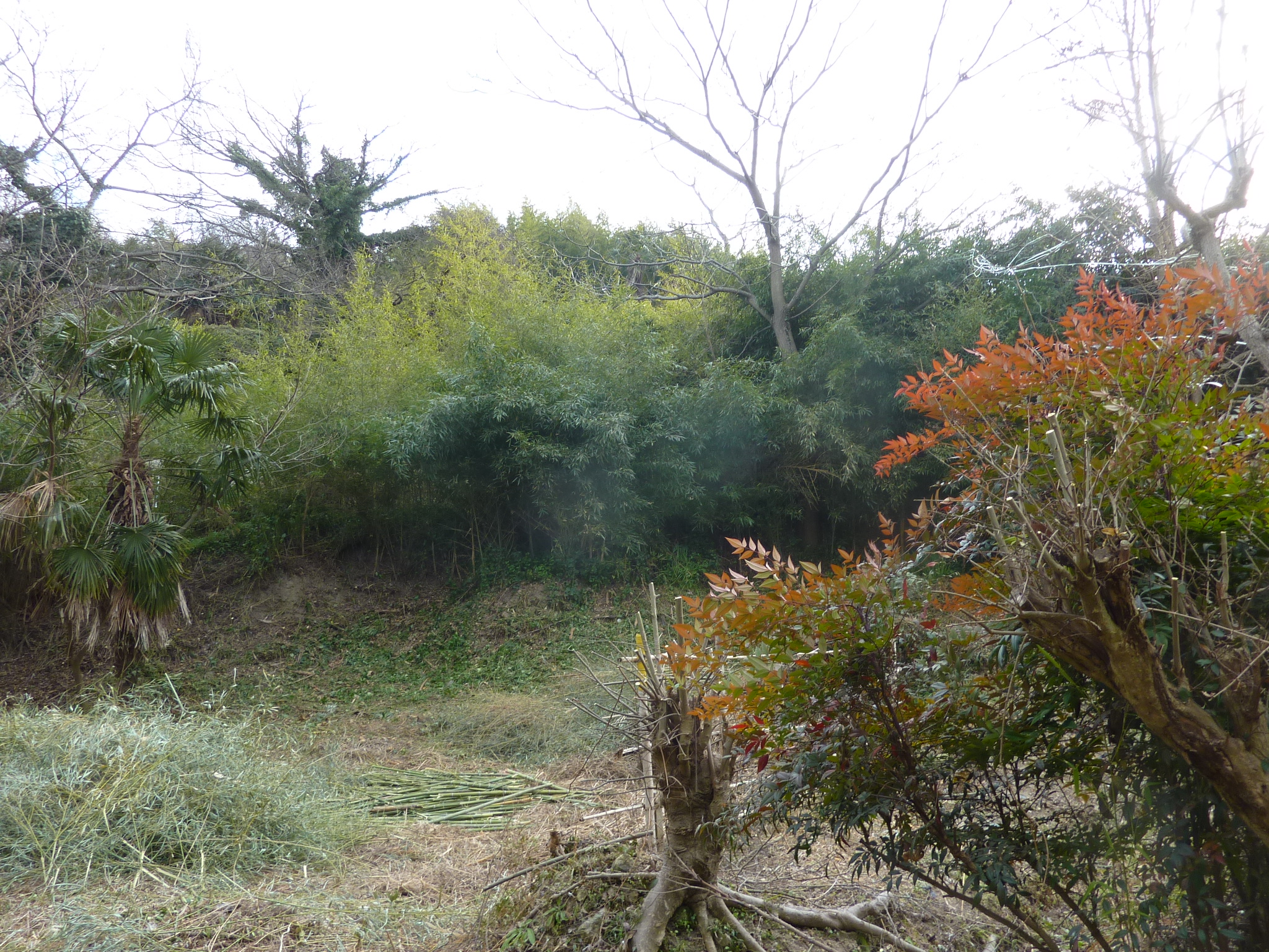 P1100286.JPG