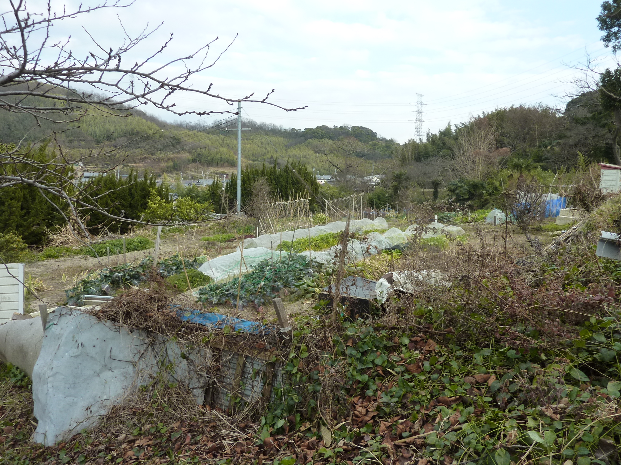 P1100291.JPG