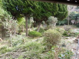 img0007.jpg
