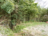 img0020.jpg