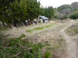 img0027.jpg