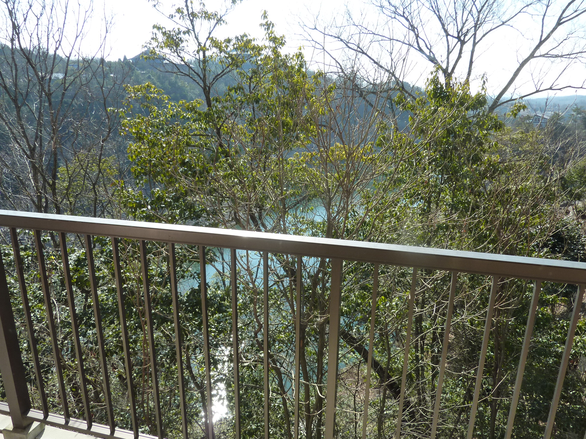 P1100320.JPG