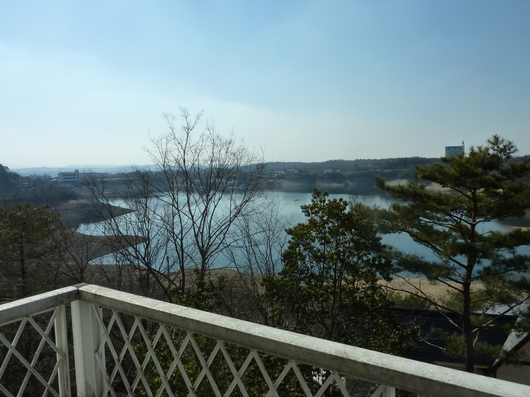P1100335.JPG