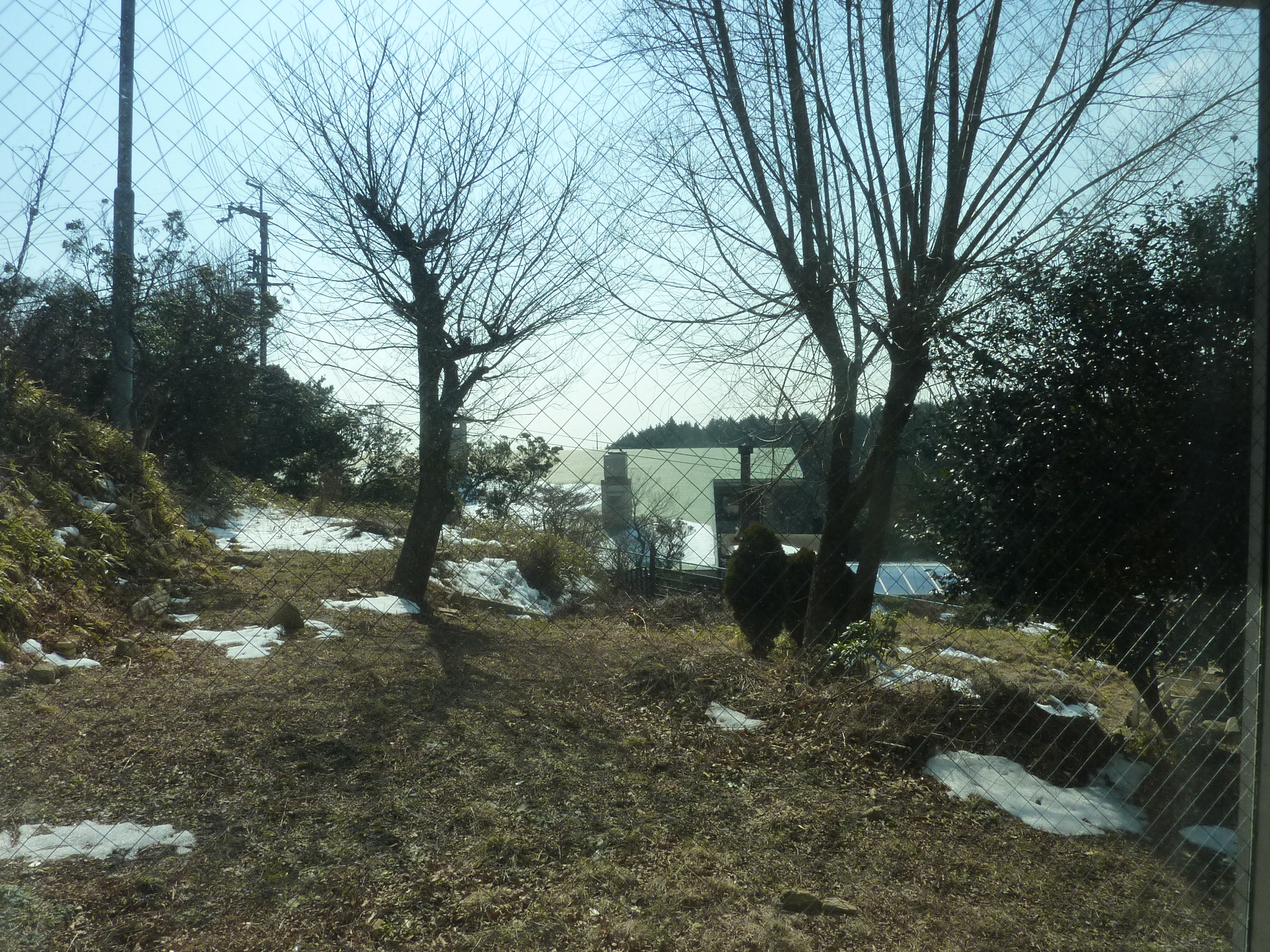 P1100345.JPG