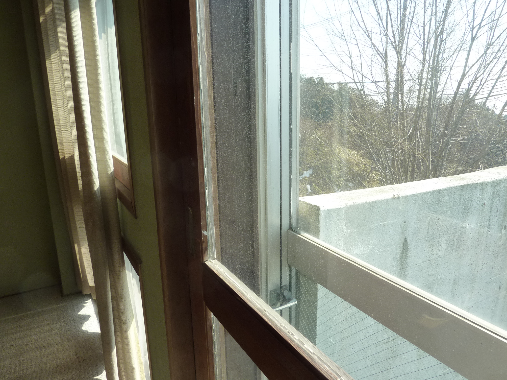 P1100364.JPG