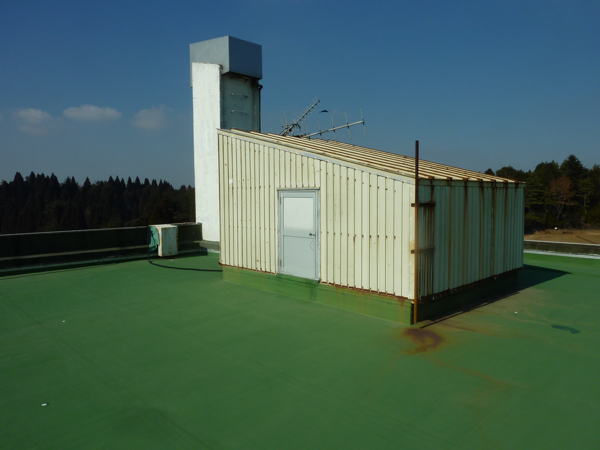 P1100372.JPG