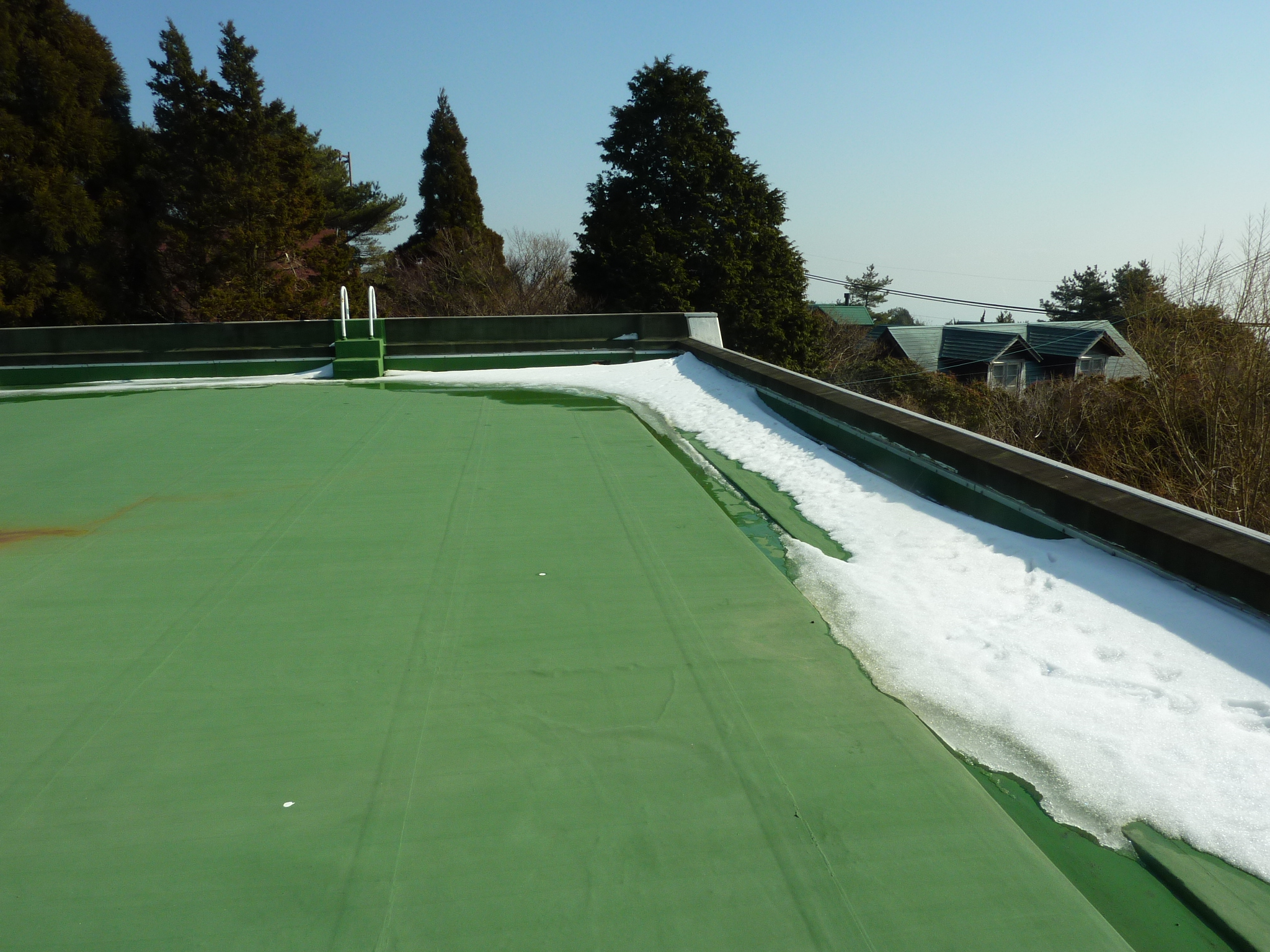 P1100374.JPG