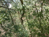 img0016.jpg
