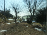 img0037.jpg
