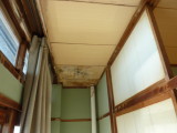 img0053.jpg