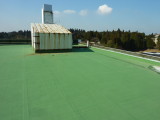 img0060.jpg