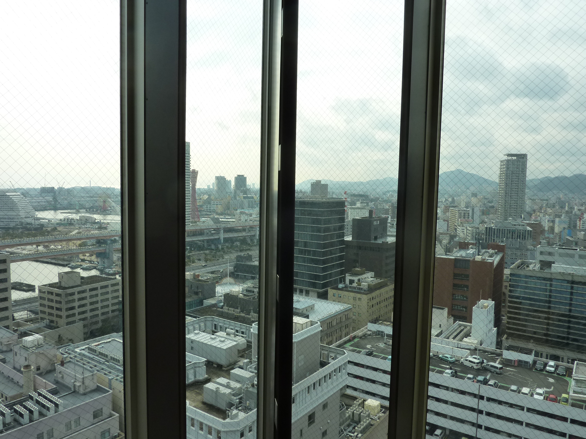 P1100727.JPG