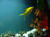 img0017.jpg