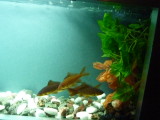 img0019.jpg