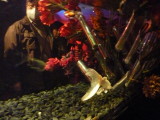 img0020.jpg