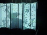 img0037.jpg