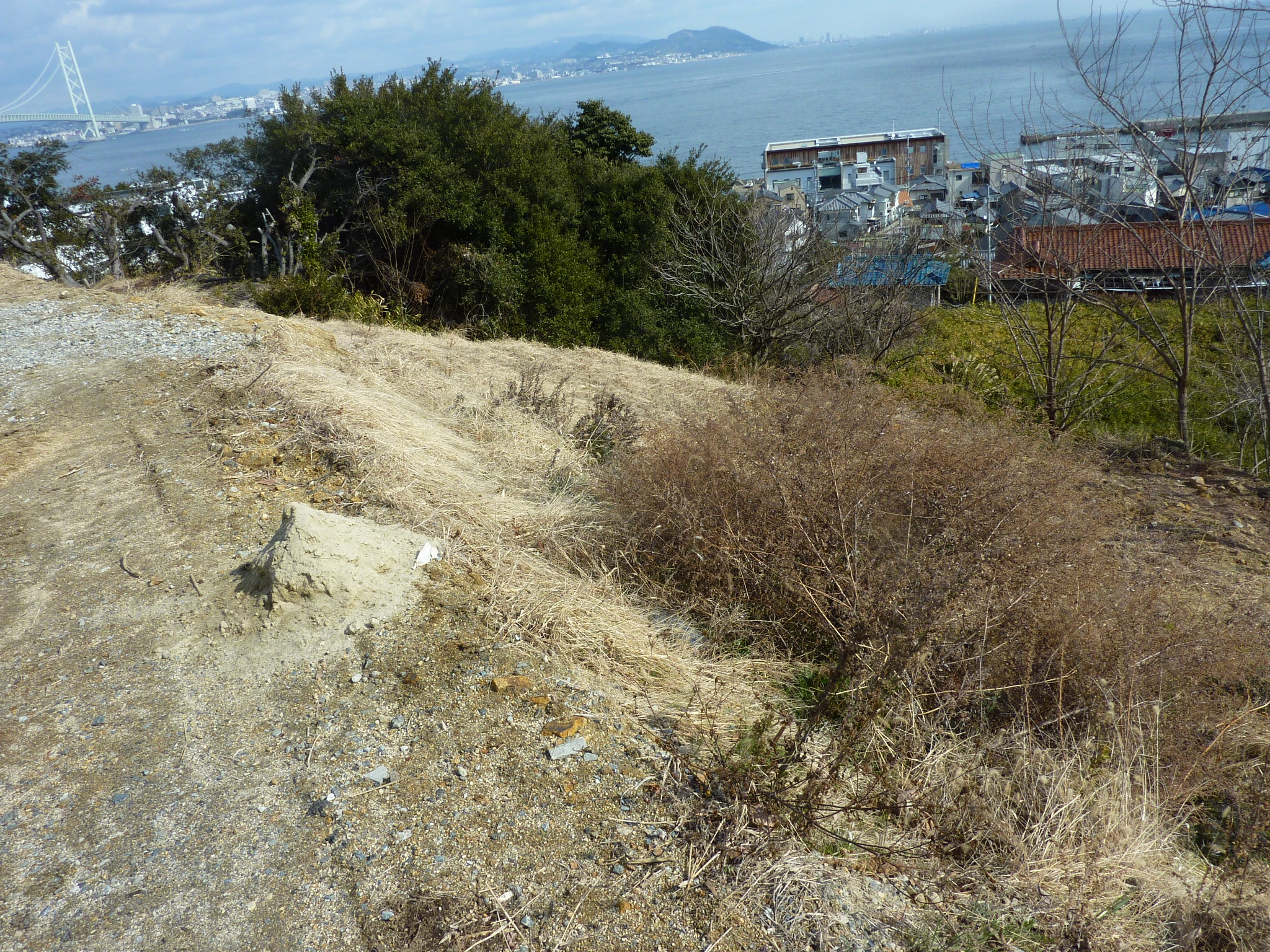 P1100763.JPG