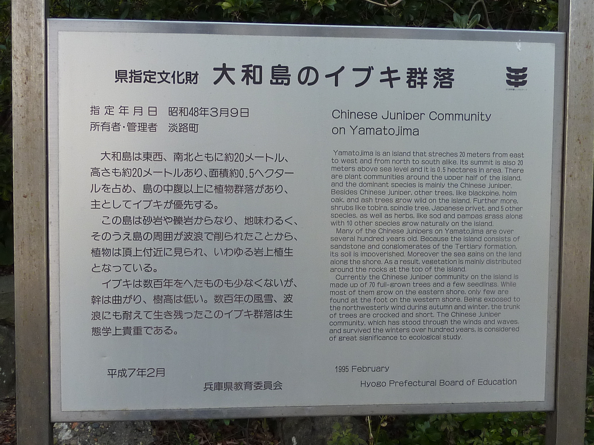 P1100780.JPG