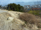 img0006.jpg