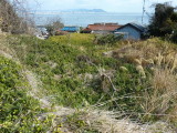 img0012.jpg