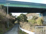 img0013.jpg