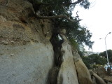img0026.jpg