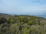 img0029.jpg