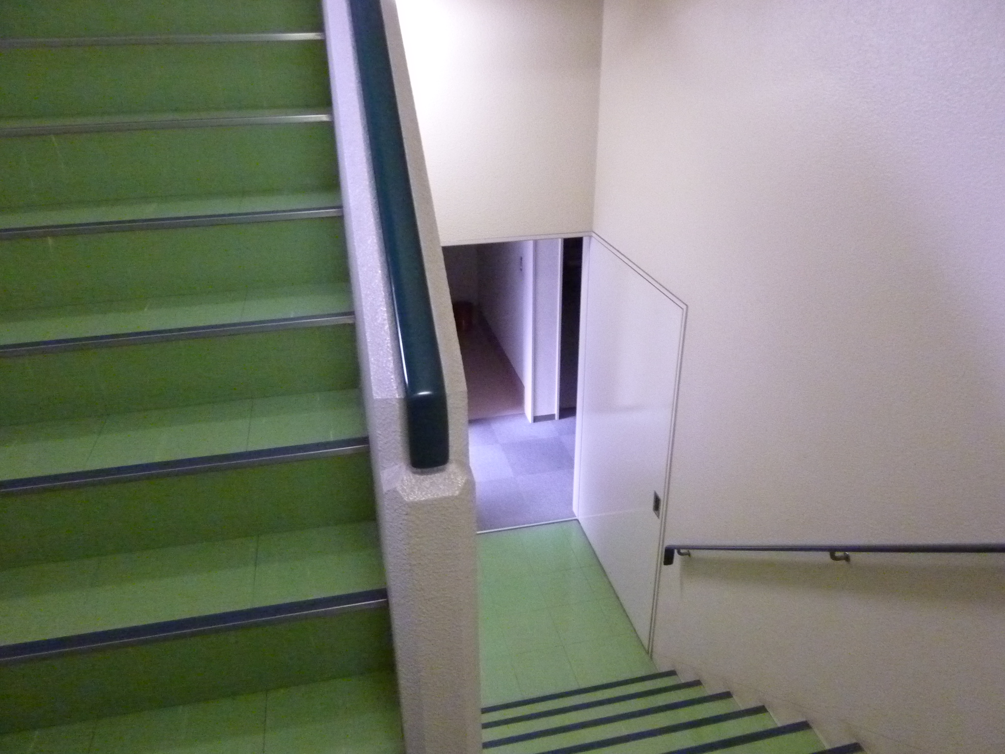 P1100799.JPG