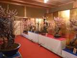 img0011.jpg
