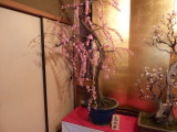 img0012.jpg